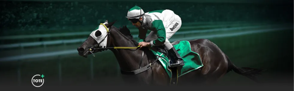 杰夫,格林高效发,中揽下,万博manbetx体育平台,万博体育官网,万博体育app下载,ManBetX,SPORTS