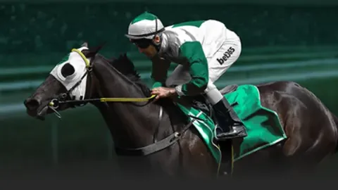 杰夫-格林高效发挥，12投6中揽下13分，力夺3个篮板助球队取胜